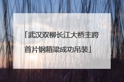 武汉双柳长江大桥主跨首片钢箱梁成功吊装