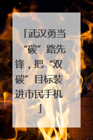 武汉勇当“碳”路先锋，把“双碳”目标装进市民手机