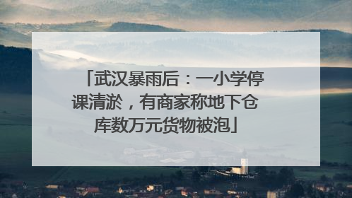 武汉暴雨后：一小学停课清淤，有商家称地下仓库数万元货物被泡