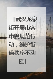武汉龙泉街开展市容市貌规范行动，维护街道秩序不动摇