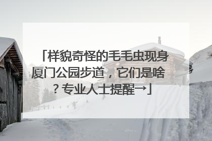 样貌奇怪的毛毛虫现身厦门公园步道，它们是啥？专业人士提醒→