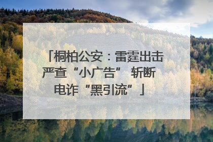 桐柏公安：雷霆出击严查“小广告” 斩断电诈“黑引流”