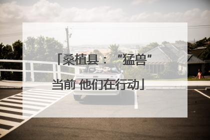 桑植县：“猛兽”当前 他们在行动