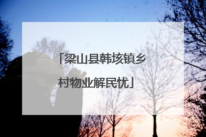 梁山县韩垓镇乡村物业解民忧