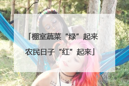 棚室蔬菜“绿”起来 农民日子“红”起来