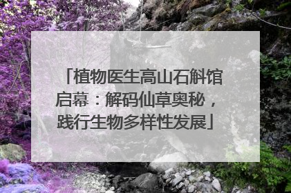 植物医生高山石斛馆启幕：解码仙草奥秘，践行生物多样性发展