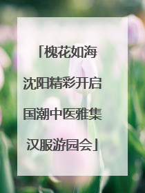 槐花如海 沈阳精彩开启国潮中医雅集汉服游园会