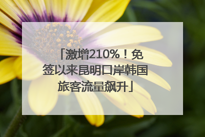 激增210%！免签以来昆明口岸韩国旅客流量飙升