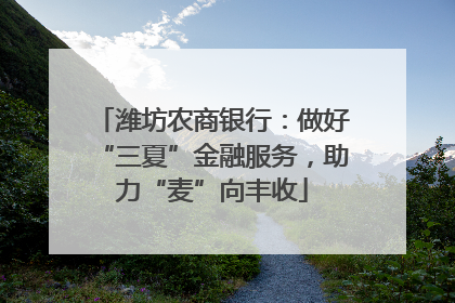 潍坊农商银行：做好“三夏”金融服务，助力“麦”向丰收