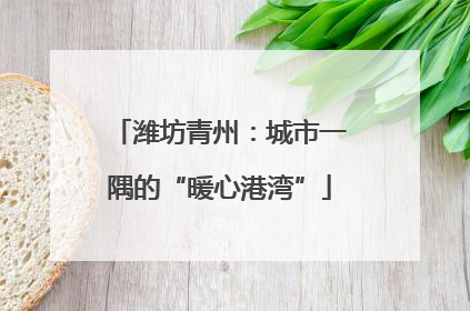 潍坊青州：城市一隅的“暖心港湾”