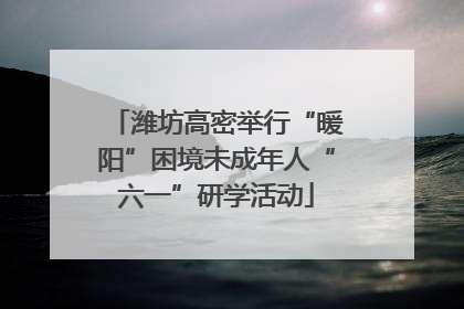 潍坊高密举行“暖阳”困境未成年人“六一”研学活动