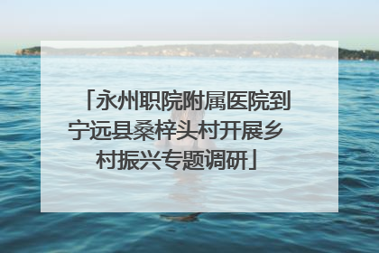 永州职院附属医院到宁远县桑梓头村开展乡村振兴专题调研