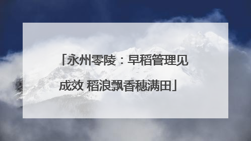 永州零陵：早稻管理见成效 稻浪飘香穗满田