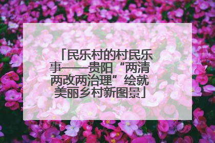 民乐村的村民乐事——贵阳“两清两改两治理”绘就美丽乡村新图景