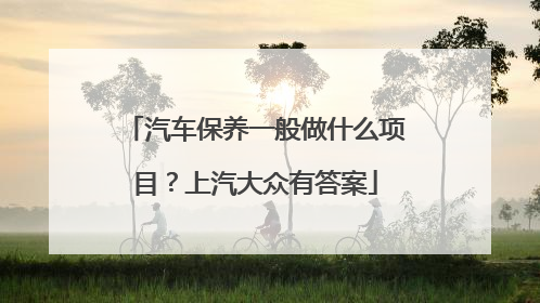 汽车保养一般做什么项目？上汽大众有答案