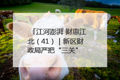 江河澎湃 财惠江北（41）｜新区财政局严把“三关” 绘就“良田美景”