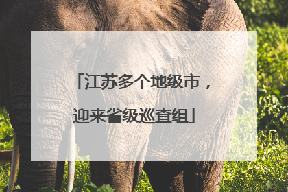 江苏多个地级市，迎来省级巡查组