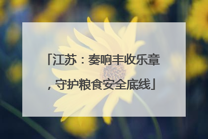江苏：奏响丰收乐章，守护粮食安全底线