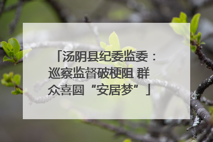 汤阴县纪委监委：巡察监督破梗阻 群众喜圆“安居梦”