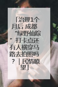 治理1个月后 成都“绿野仙踪”打卡点还有人横穿马路去拍照吗？｜民情瞭望