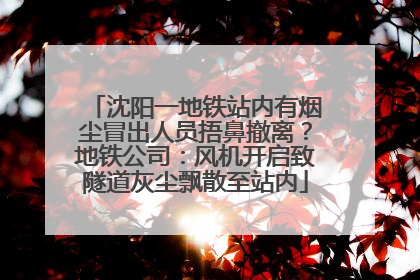 沈阳一地铁站内有烟尘冒出人员捂鼻撤离？地铁公司：风机开启致隧道灰尘飘散至站内