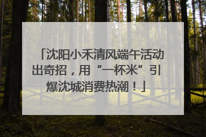沈阳小禾清风端午活动出奇招，用“一杯米”引爆沈城消费热潮！