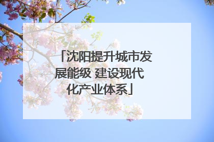 沈阳提升城市发展能级 建设现代化产业体系
