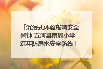 沉浸式体验敲响安全警钟 五河县南周小学筑牢防溺水安全防线