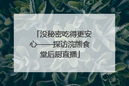 没秘密吃得更安心——探访浣熊食堂后厨直播