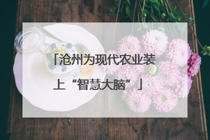 沧州为现代农业装上“智慧大脑”