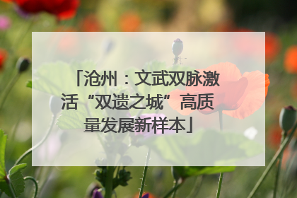 沧州：文武双脉激活“双遗之城”高质量发展新样本