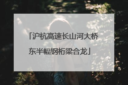 沪杭高速长山河大桥东半幅钢桁梁合龙