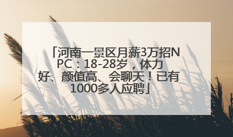 河南一景区月薪3万招NPC：18-28岁，体力好、颜值高、会聊天！已有1000多人应聘