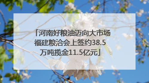 河南好粮油迈向大市场 福建粮洽会上签约38.5万吨揽金11.5亿元