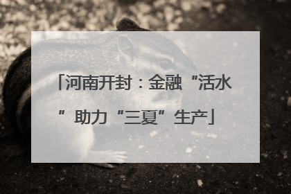 河南开封：金融“活水”助力“三夏”生产