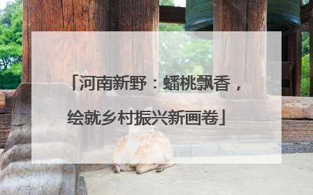 河南新野：蟠桃飘香，绘就乡村振兴新画卷