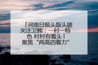 河南日报头版头题关注卫辉：一村一特色 村村有看头 ︳聚焦“两高四着力”·一“县”观察