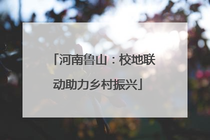 河南鲁山：校地联动助力乡村振兴
