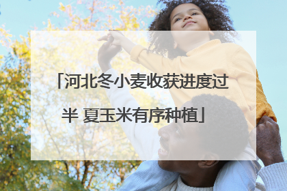 河北冬小麦收获进度过半 夏玉米有序种植