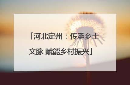 河北定州：传承乡土文脉 赋能乡村振兴