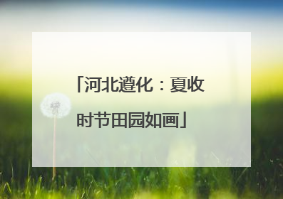河北遵化：夏收时节田园如画