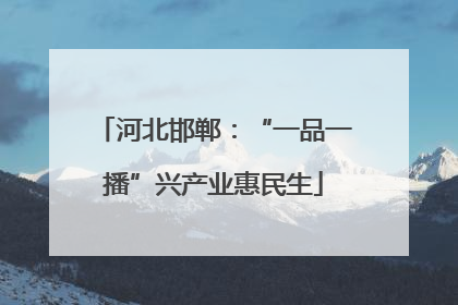 河北邯郸：“一品一播”兴产业惠民生