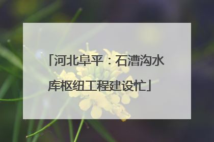 河北阜平：石漕沟水库枢纽工程建设忙