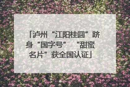 泸州“江阳桂圆”跻身“国字号” “甜蜜名片”获全国认证