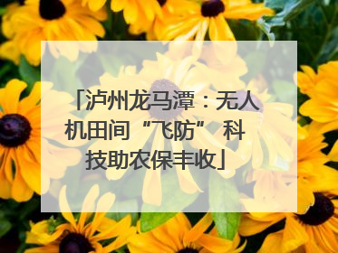 泸州龙马潭：无人机田间“飞防” 科技助农保丰收