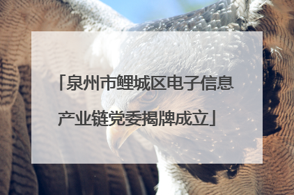 泉州市鲤城区电子信息产业链党委揭牌成立