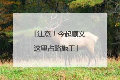 注意！今起顺义这里占路施工