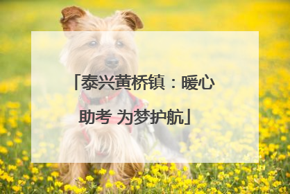 泰兴黄桥镇：暖心助考 为梦护航