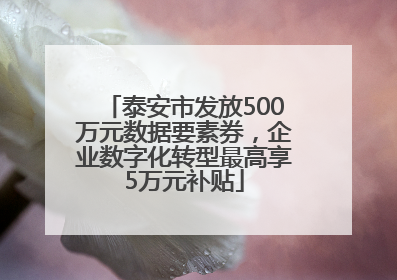 泰安市发放500万元数据要素券，企业数字化转型最高享5万元补贴