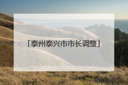泰州泰兴市市长调整